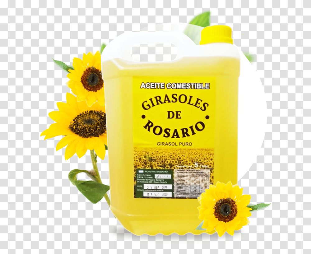 Download Home Oil Pic Real Sunflower Full Size Image Fresh, Plant, Blossom, Beverage, Drink Transparent Png
