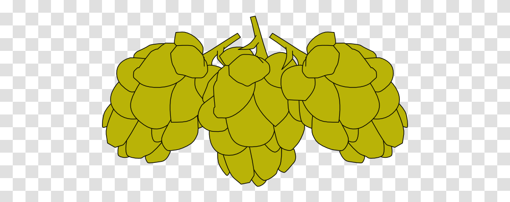 Download Hops Image With No Hops, Plant, Fruit, Food, Grapes Transparent Png