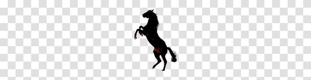 Download Horse Free Photo Images And Clipart Freepngimg, Light, Flare, Animal, Firefly Transparent Png