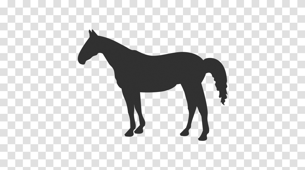 Download Horse Icon, Mammal, Animal, Foal, Painting Transparent Png