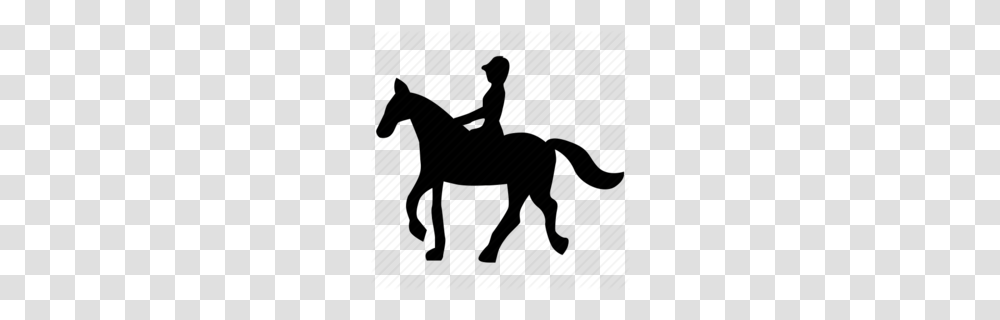 Download Horse Riding Icon Clipart Mule Horse Equestrian, Dinosaur, Reptile, Animal, Silhouette Transparent Png