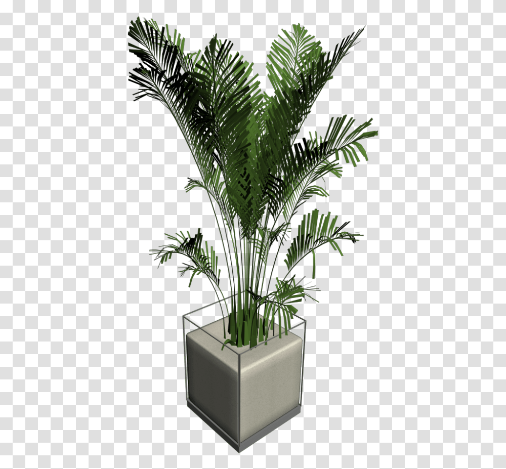 Download House Plant Palm Tree Palm Trees Hd Download Cat Palm, Vase, Jar, Pottery, Potted Plant Transparent Png