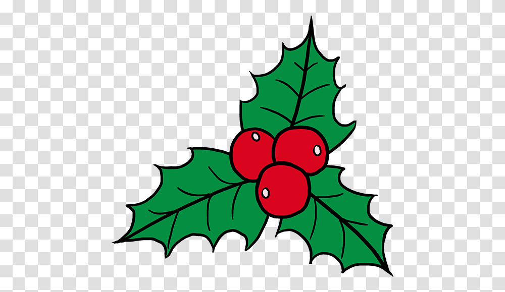 Download How To Draw Holly Christmas Holly Drawing Hd Mistletoe Easy To Draw, Leaf, Plant, Tree, Person Transparent Png