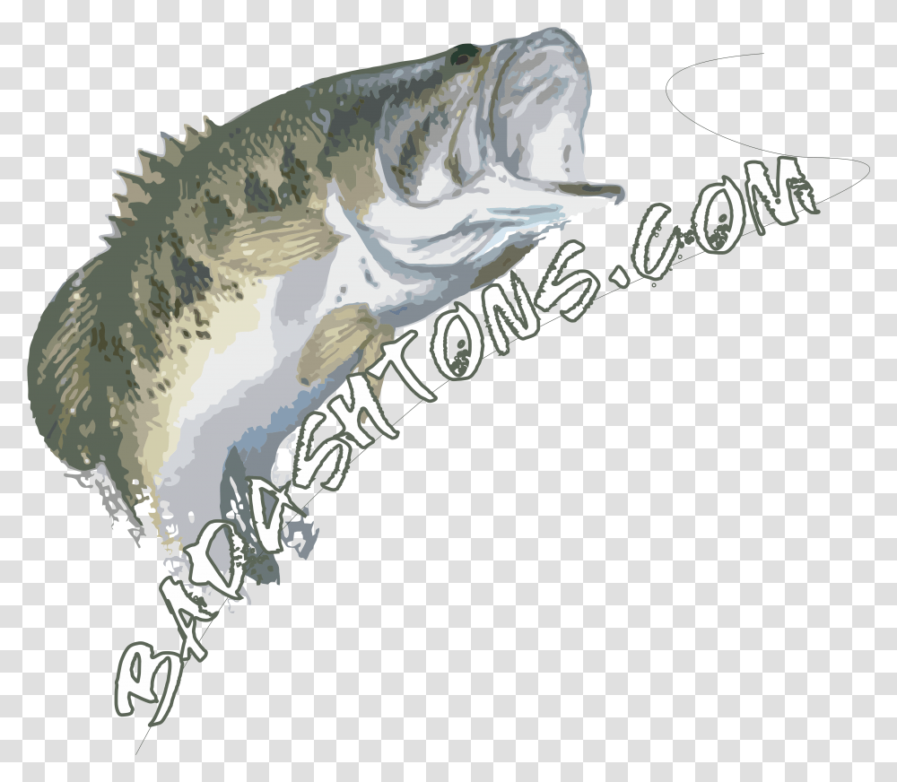 Download How Water Temperatures Affect Largemouth Bass Bass, Animal, Fish, Perch Transparent Png