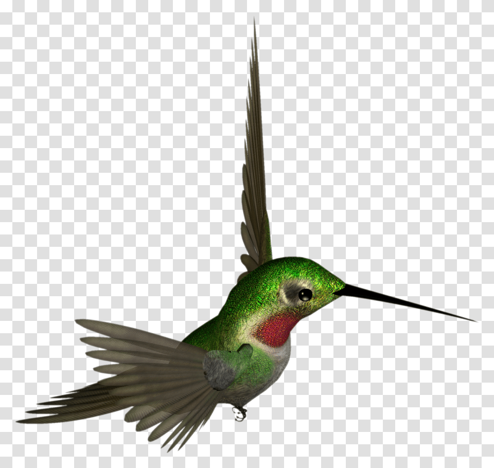 Download Hummingbird Hummingbird Clipart, Animal, Bee Eater, Flying Transparent Png