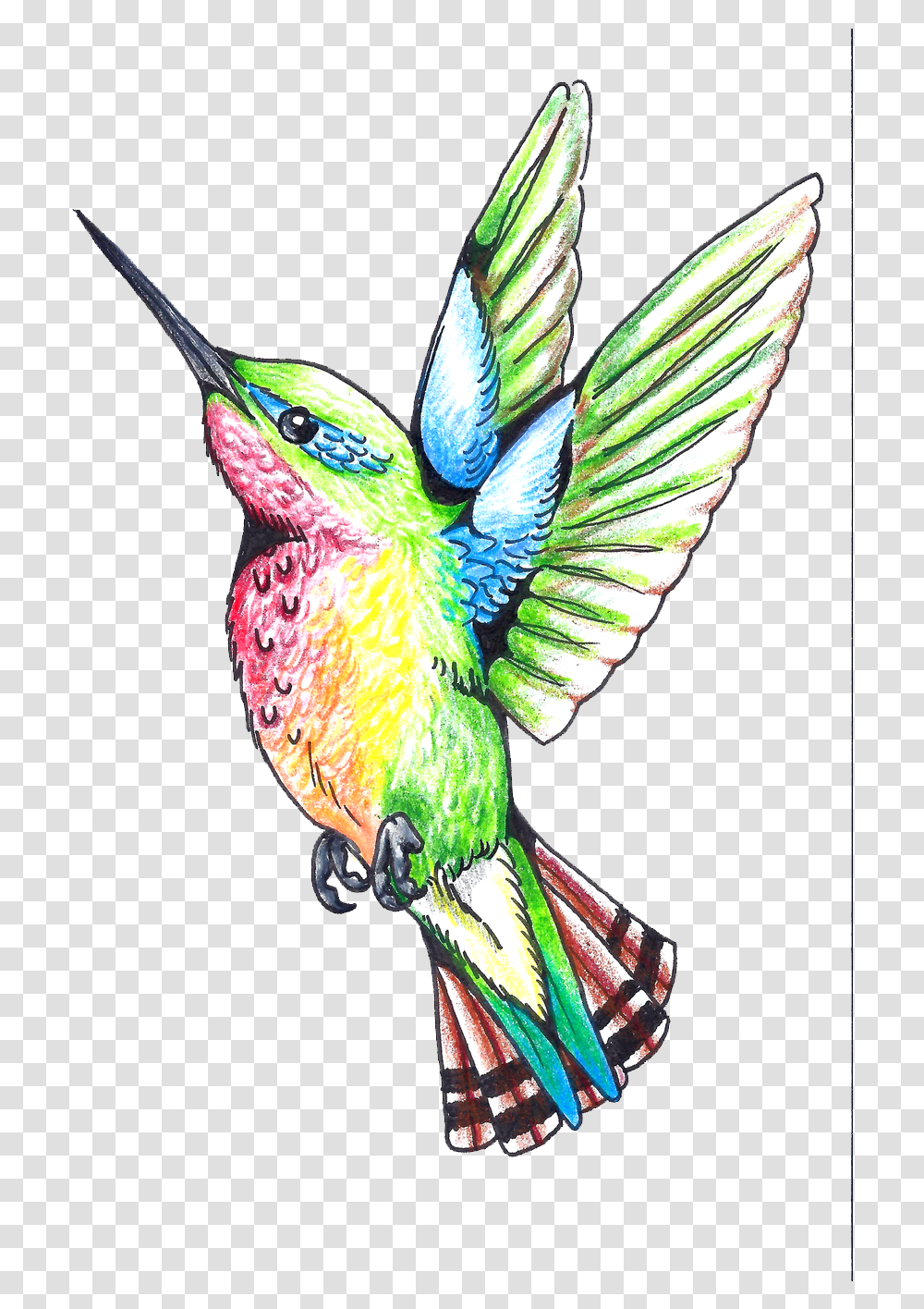 Download Hummingbird Tattoos Clipart Hq Image In Humming Bird Tattoo Design, Bee Eater, Animal Transparent Png