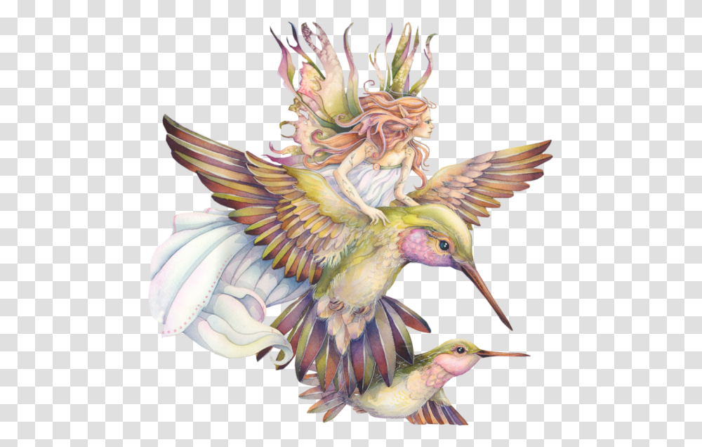 Download Hummingbird Tattoos Fairy And Hummingbird Tattoo, Animal, Chicken, Poultry, Fowl Transparent Png