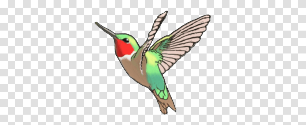 Download Hummingbird Tattoos Free Image And Clipart, Bee Eater, Animal, Person, Human Transparent Png