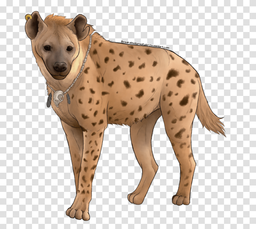 Download Hyena Images Backgrounds Hyena, Animal, Mammal, Wildlife, Canine Transparent Png
