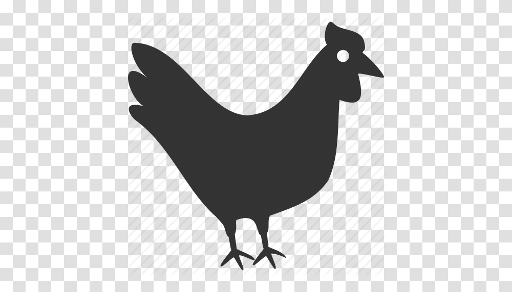 Download Icon Hen, Animal, Fowl, Bird, Chicken Transparent Png