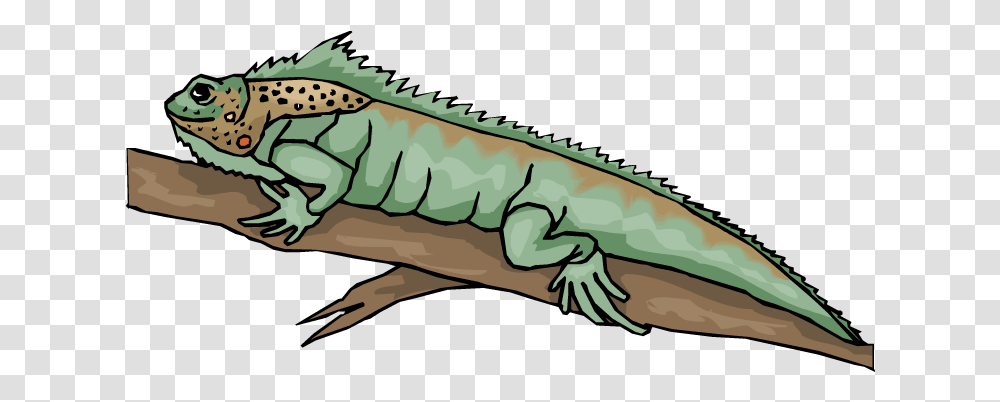 Download Iguana Clipart Bearded Dragon Lizard Clipart Iguana On Tree Clipart, Reptile, Animal, Dinosaur Transparent Png