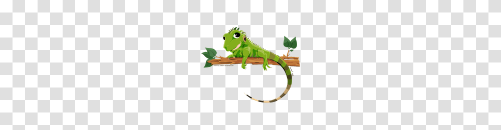 Download Iguana Free Photo Images And Clipart Freepngimg, Lizard, Reptile, Animal, Green Lizard Transparent Png