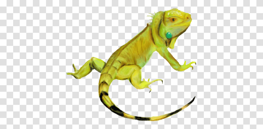 Download Iguana Hd Bunglon, Dinosaur, Reptile, Animal, Gecko Transparent Png