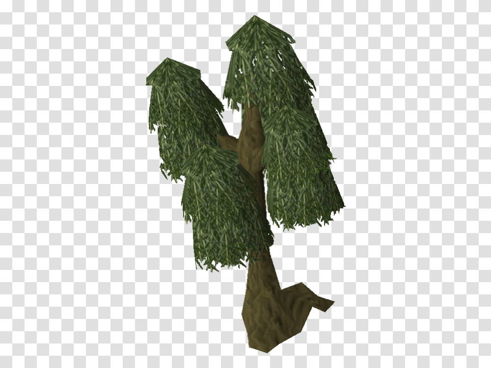 Download Image Willow Tree Old Runescape Wiki Fandom Runescape Willow Tree, Plant, Food, Seasoning, Vegetation Transparent Png