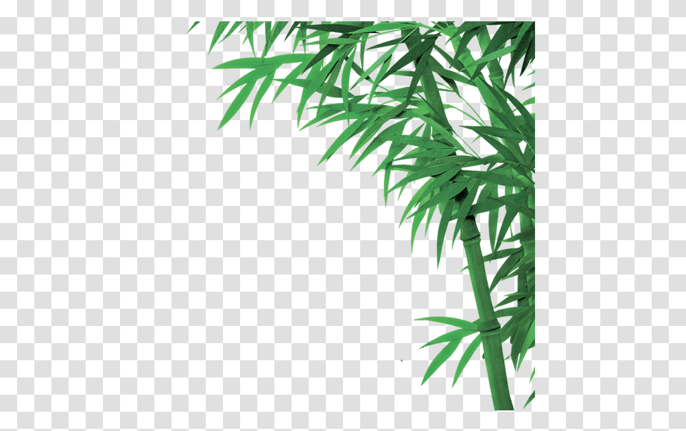 Download Image With Bamboo Image Hd With Background, Plant, Leaf, Fern, Vegetation Transparent Png