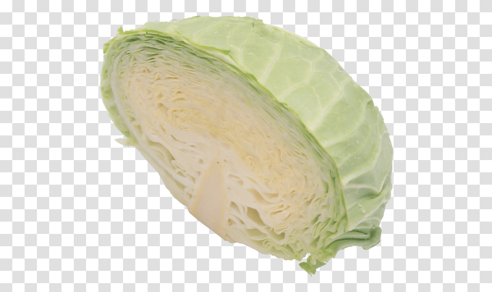 Download Image With Cabbage, Plant, Vegetable, Food, Head Cabbage Transparent Png