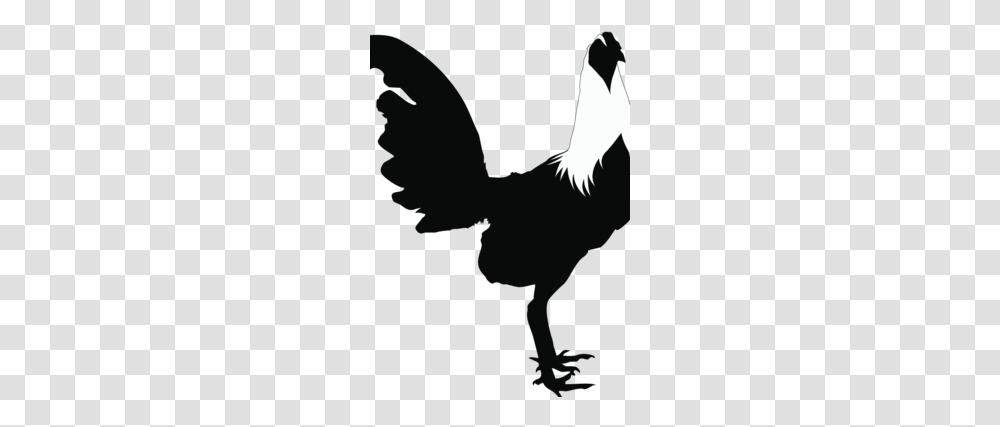 Download Imagenes De Gallos Silueta Clipart Cochin Chicken Rooster, Silhouette, Bird, Animal, Person Transparent Png