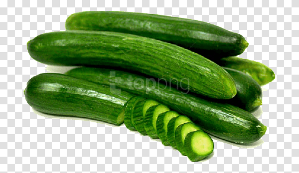Download Images Background Toppng Cucumber, Plant, Snake, Reptile, Animal Transparent Png