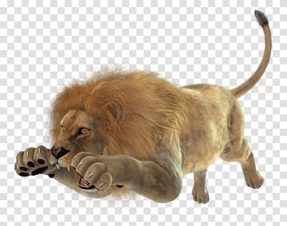 Download Images Of Angry Lion Lion Jumping Full Angry Lion Background, Mammal, Animal, Wildlife, Dog Transparent Png
