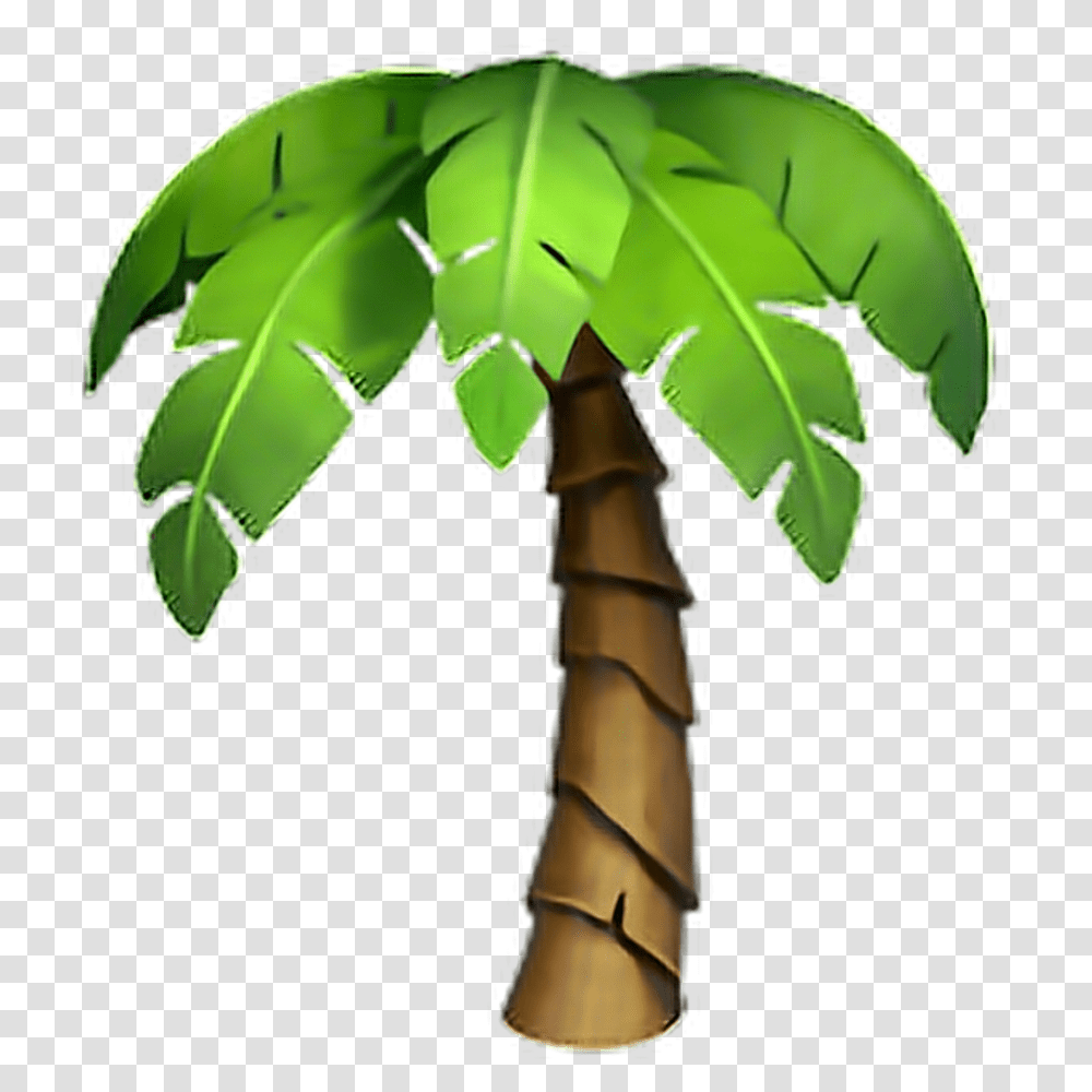 Download Iphone Emoji Flowers Palmtree Tree Palm Tree Iphone Palm Tree Emoji, Plant, Leaf, High Heel, Shoe Transparent Png