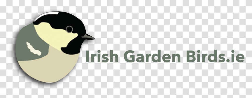 Download Irish Garden Birds Garden Full Size Image Iste 2015, Vehicle, Transportation, Spaceship, Aircraft Transparent Png