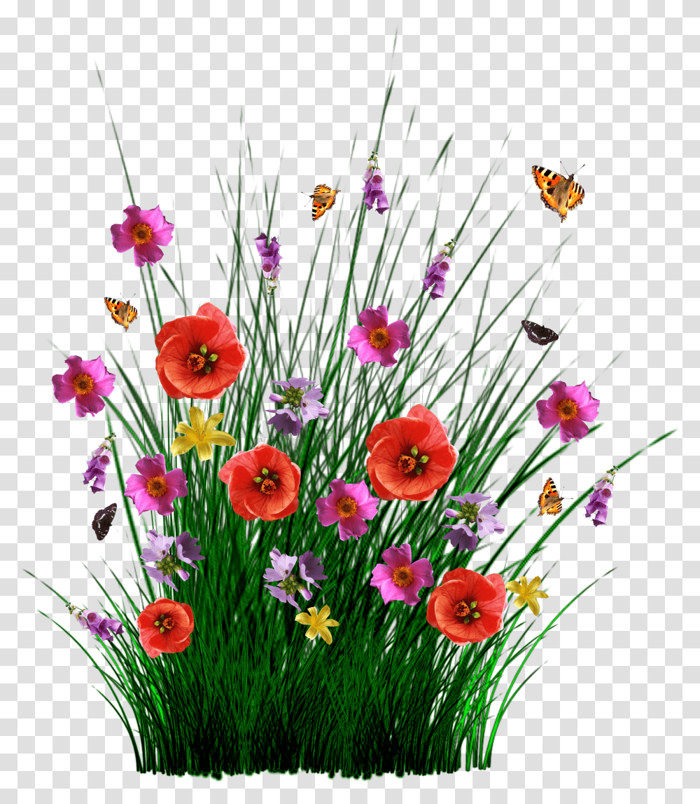 Download Isolated Spring Flowers Grass Flower Spring Grass Transparent Png