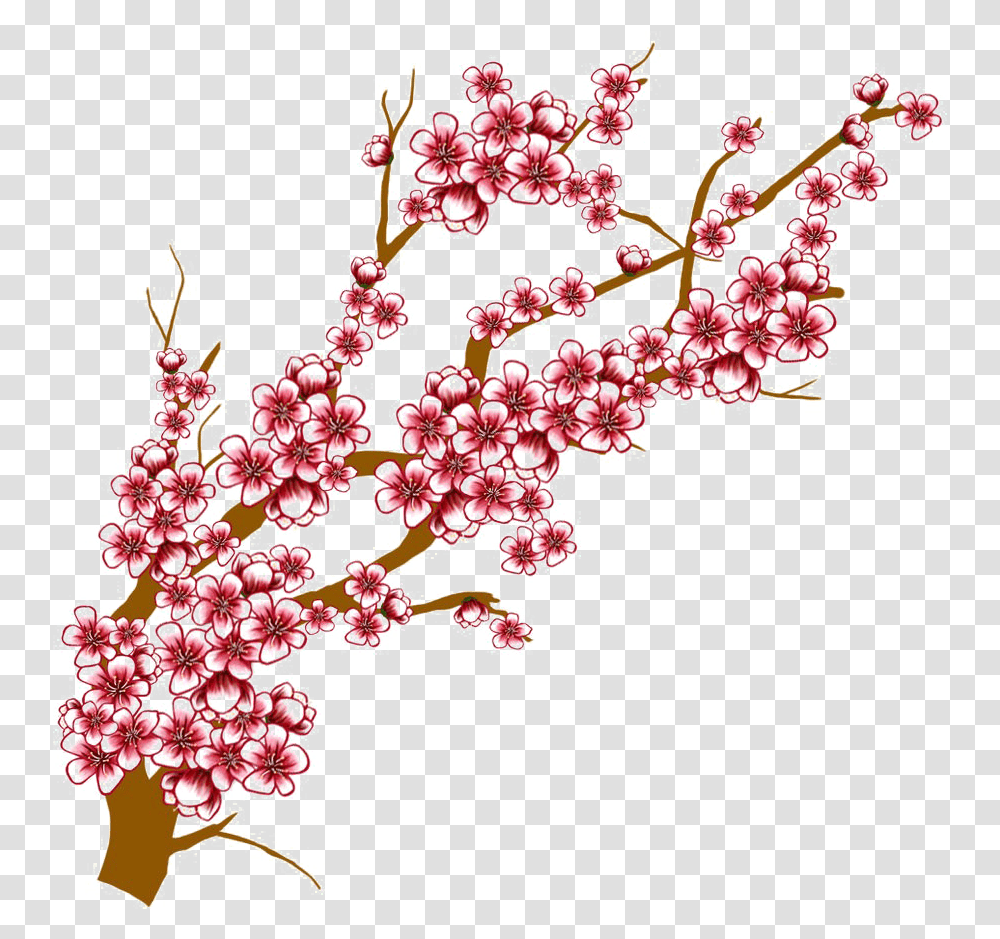 Download Japanese Flowering Cherry Background Drawing Cherry Blossom Tree, Plant, Pattern, Map Transparent Png