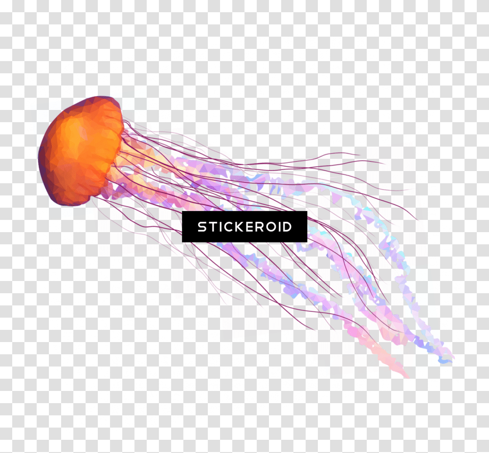 Download Jellyfish Animals Jellyfish Tentacles Jellyfish, Invertebrate, Sea Life, Rug, Text Transparent Png