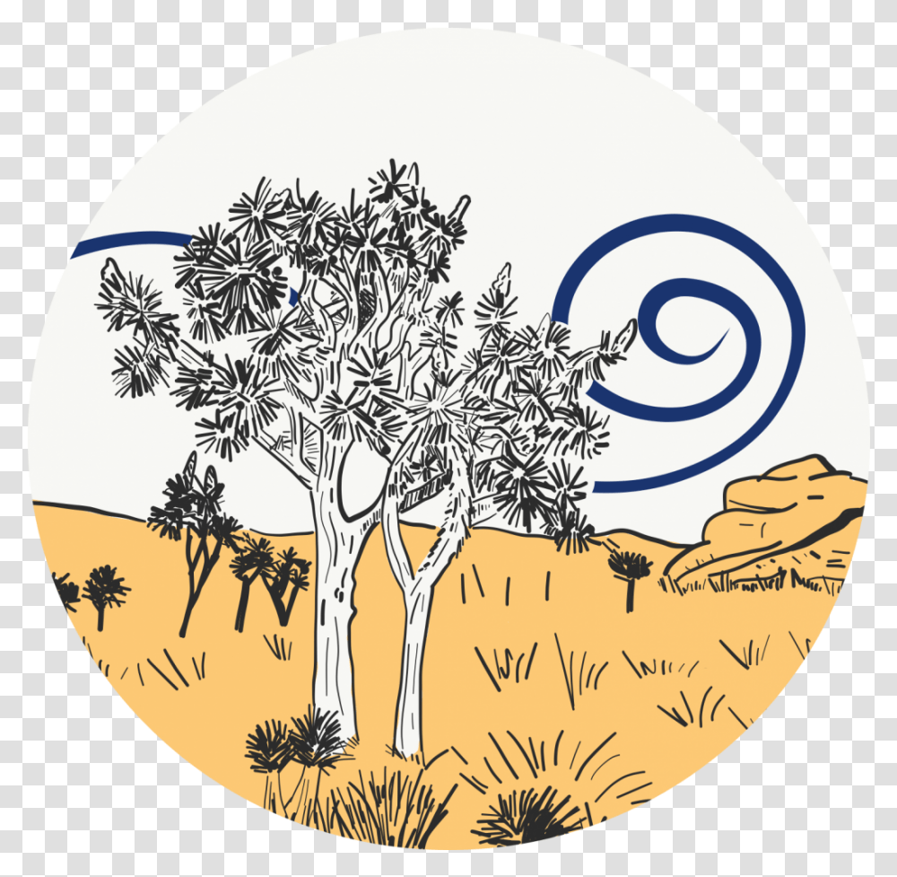 Download Joshua Tree Drawing, Plant, Vegetation, Outdoors, Root Transparent Png