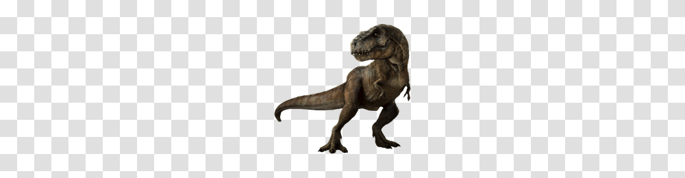 Download Jurassic World Free Photo Images And Clipart Freepngimg, Dinosaur, Reptile, Animal, T-Rex Transparent Png