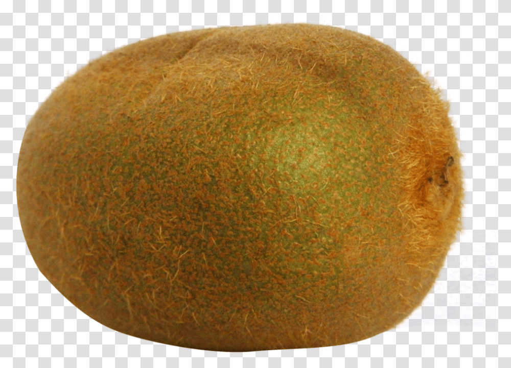 Download Kiwi Fruit File 259 Kiwifruit, Plant, Food, Bread, Produce Transparent Png