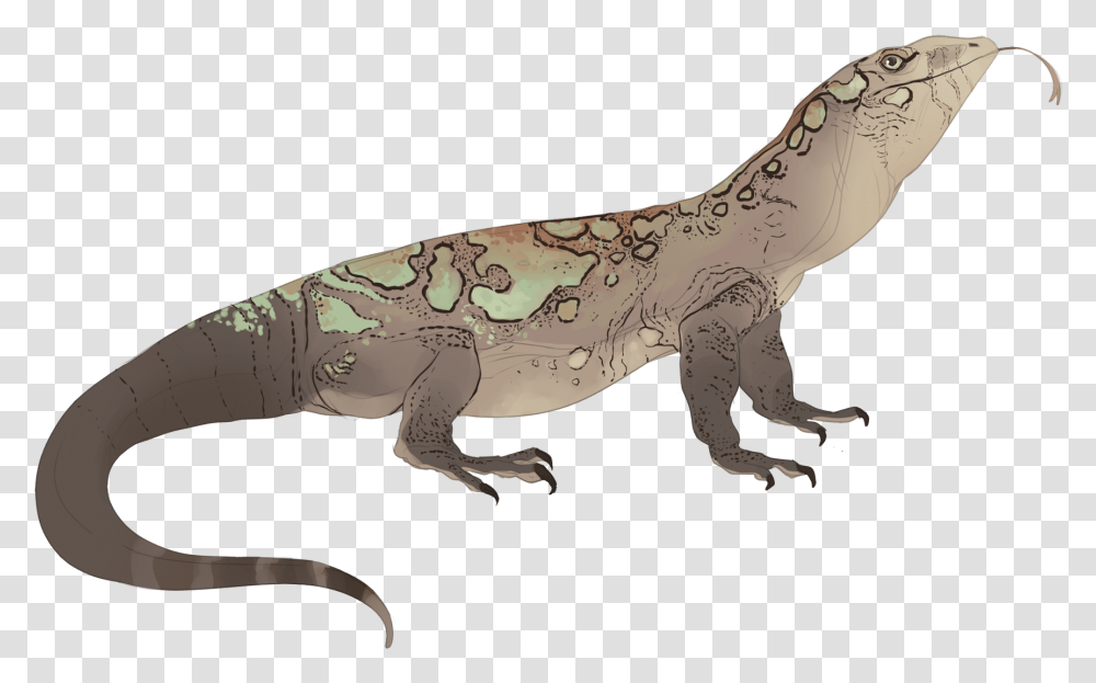 Download Komodo Dragon Portable Network Graphics, Reptile, Animal, Dinosaur, Gecko Transparent Png