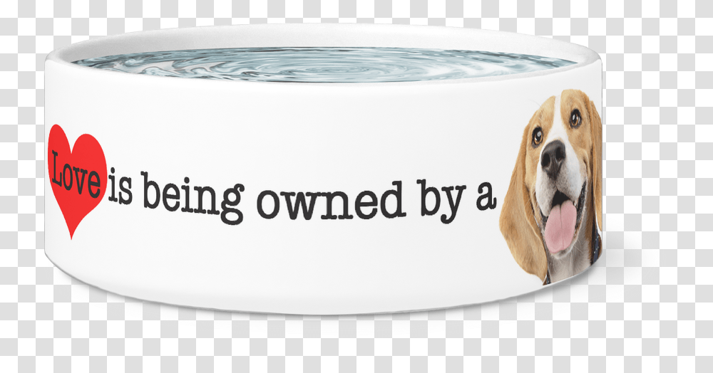Download Large Dog Bowl Love Is Being Owned By A Beagle Basset Hound, Bathtub, Plant, Jar, Food Transparent Png