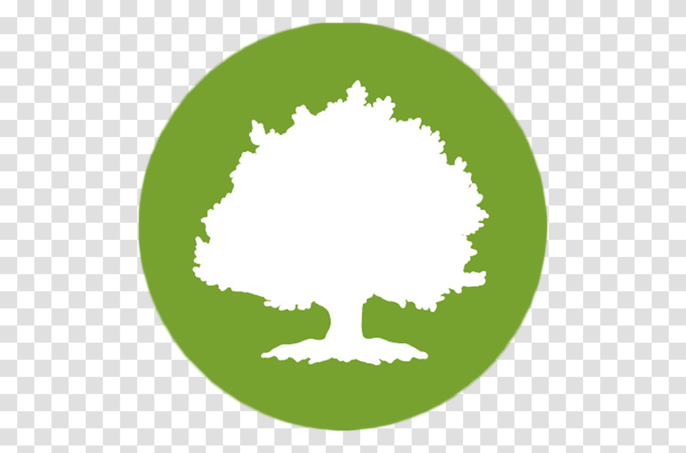 Download Large Tree Oak Street Health Logo Full Size Oak Street Health Logo, Green, Symbol, Outdoors, Plant Transparent Png