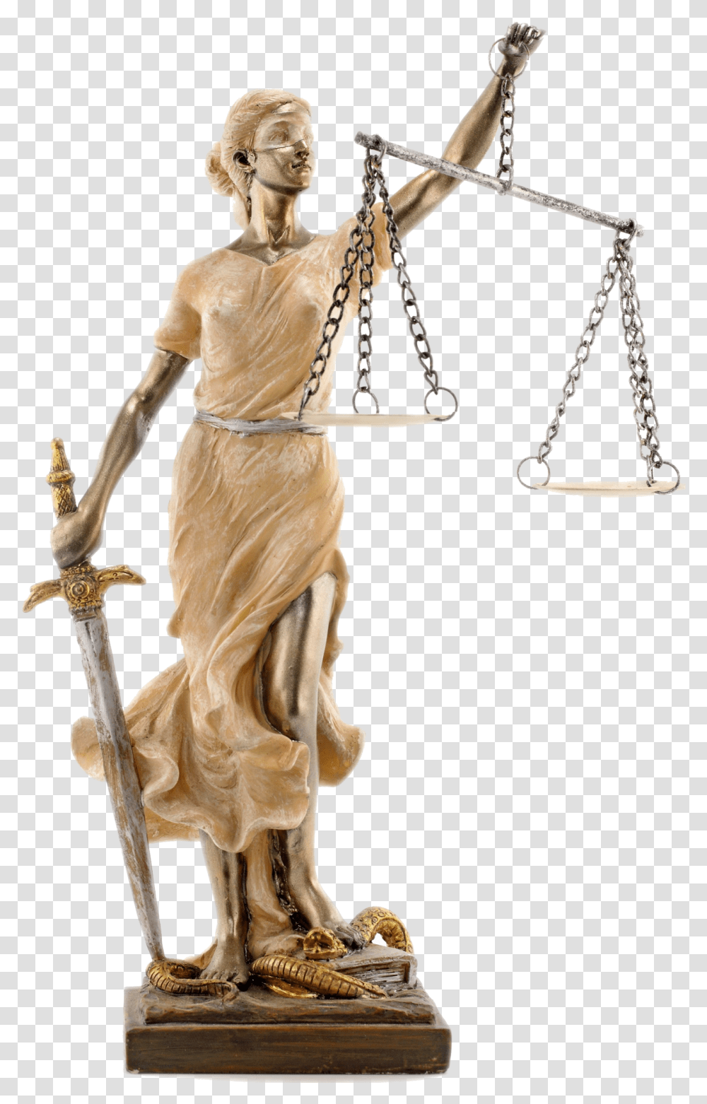 Download Lawyer Photo For Designing Projects, Weapon, Weaponry, Person, Human Transparent Png