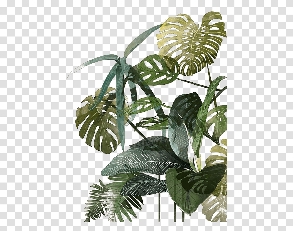 Download Leaf Botanical Illustration Watercolor Palm Tropics Plant Illustration, Vegetation, Rainforest, Land, Tree Transparent Png