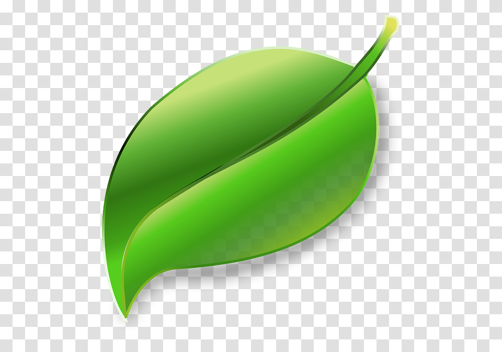 Download Leaf Clipart Clip Art Leaf Grass, Plant, Green, Food, Fruit Transparent Png