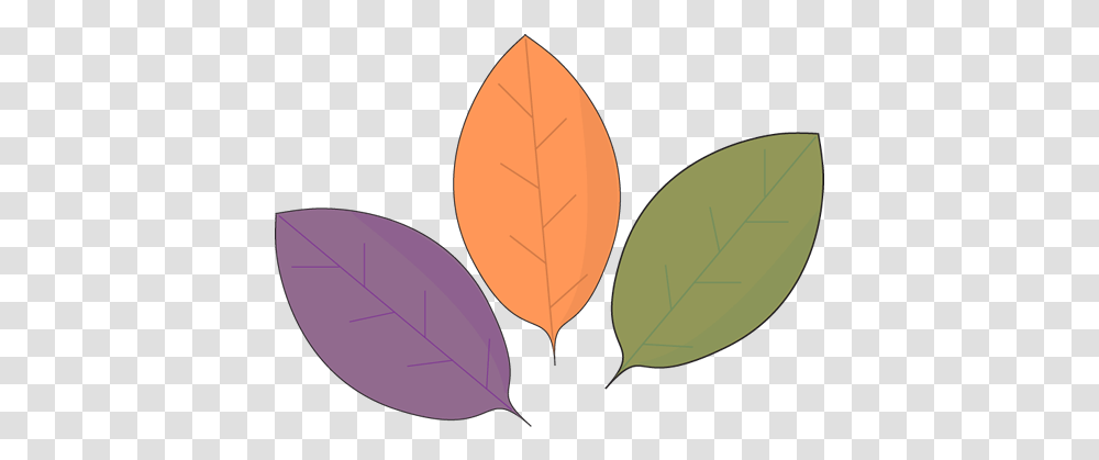 Download Leaf Rustic Autumn Leaves My Cute Graphics Autumn, Plant, Veins, Photography, Tree Transparent Png