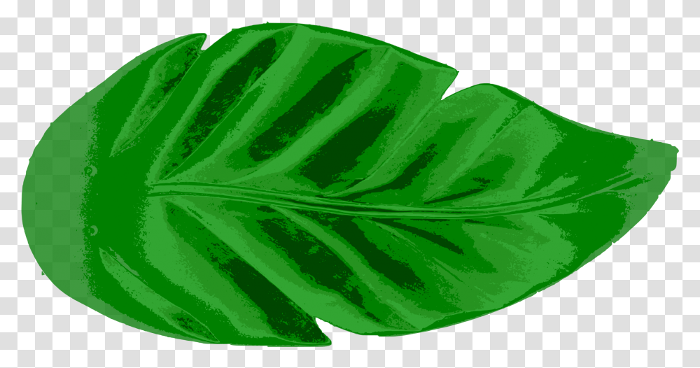 Download Leaf Tropics Earth Palm Branch Big Leaf, Plant, Green, Fern, Veins Transparent Png