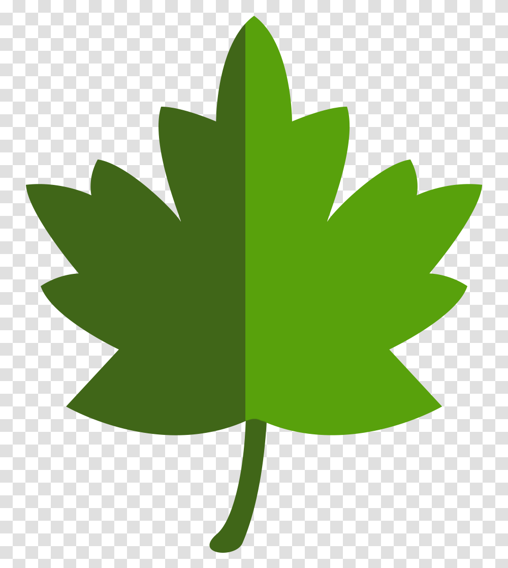 Download Leave Vector Clip Art Leave Leave Vector, Leaf, Plant, Maple Leaf Transparent Png