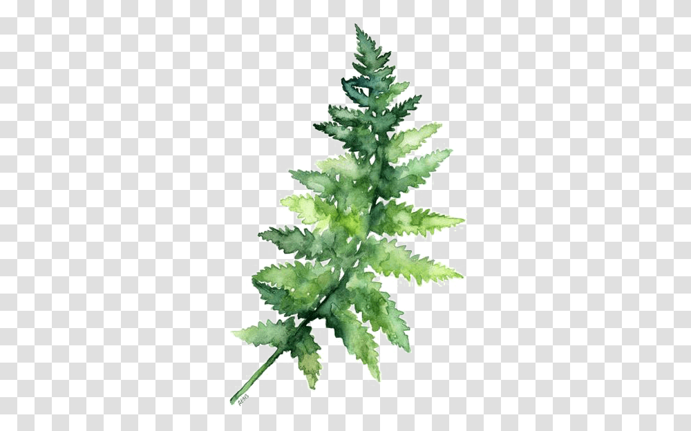 Download Leaves Fern Watercolor Printing Green Paper Watercolor Leaves, Plant, Christmas Tree, Ornament, Aloe Transparent Png