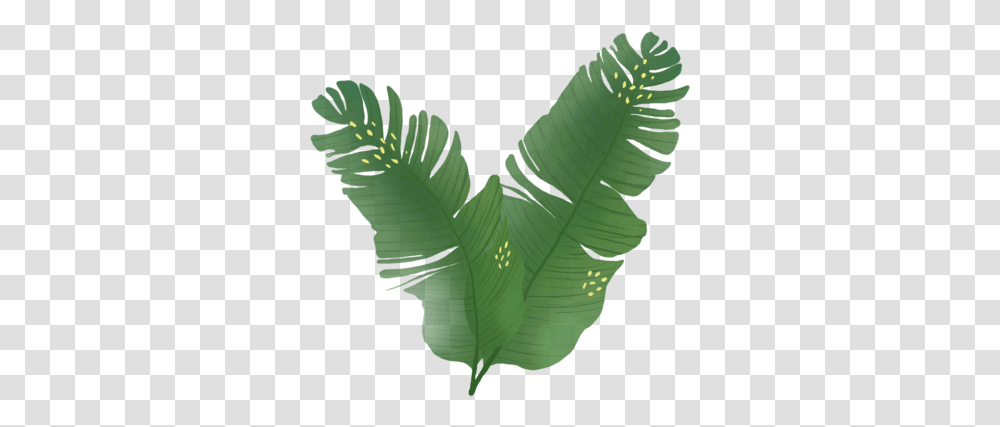 Download Leaves Palm Tree Hd Download Uokplrs Sabal Palmetto, Leaf, Plant, Green, Fern Transparent Png