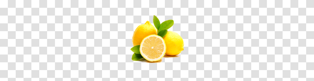 Download Lemon Free Photo Images And Clipart Freepngimg, Plant, Citrus Fruit, Food Transparent Png