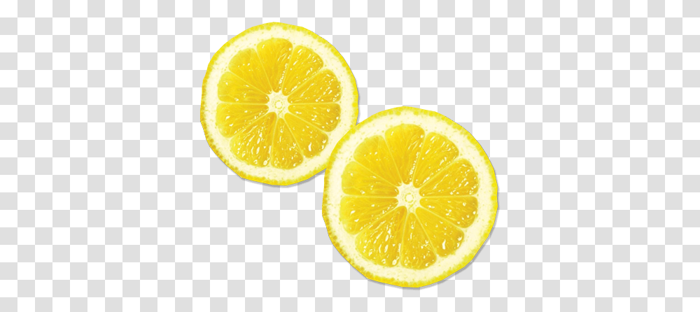 Download Lemon Juice Lemon Slice, Citrus Fruit, Plant, Food, Orange Transparent Png