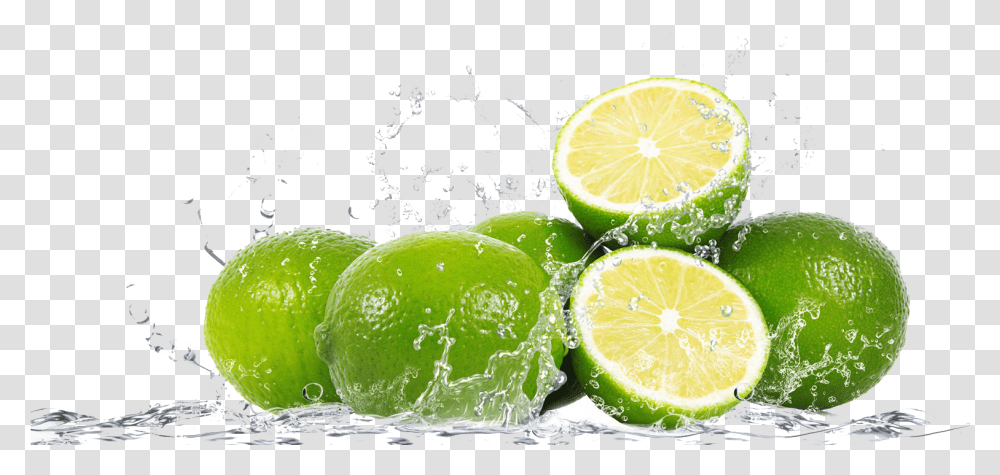 Download Lemon Lemon With Water, Citrus Fruit, Plant, Food, Lime Transparent Png