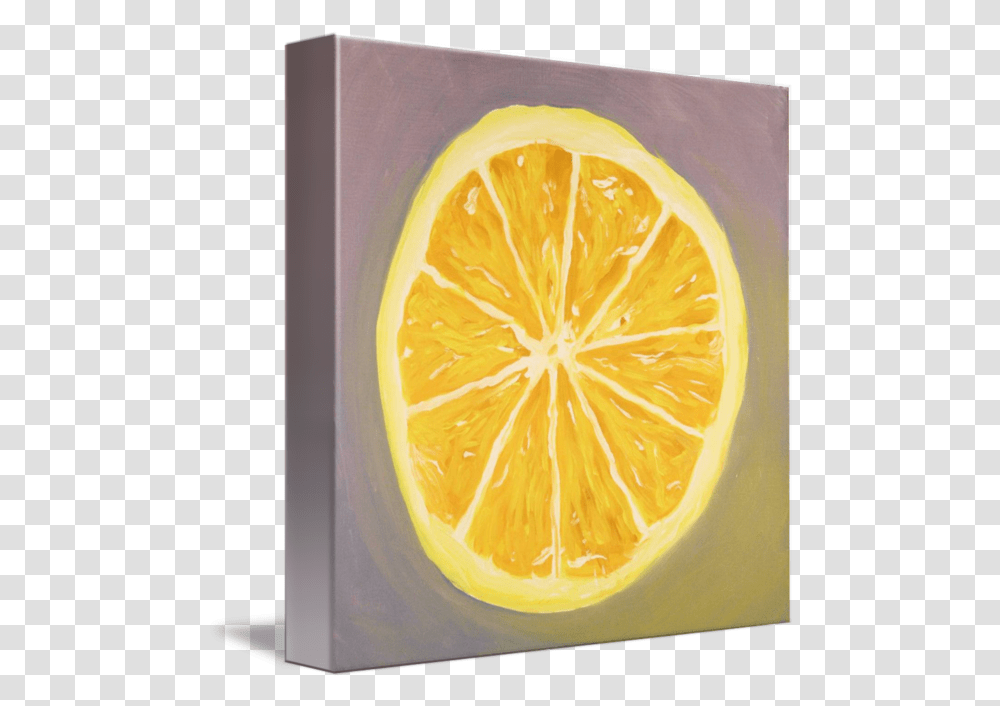 Download Lemon Slice Meyer Lemon, Citrus Fruit, Plant, Food, Orange Transparent Png