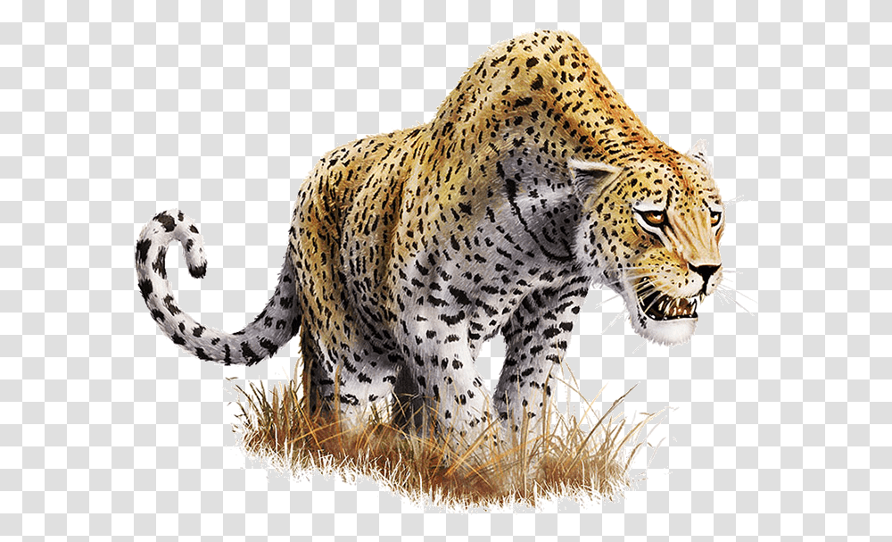 Download Leopard Download Leopard, Panther, Wildlife, Mammal, Animal Transparent Png