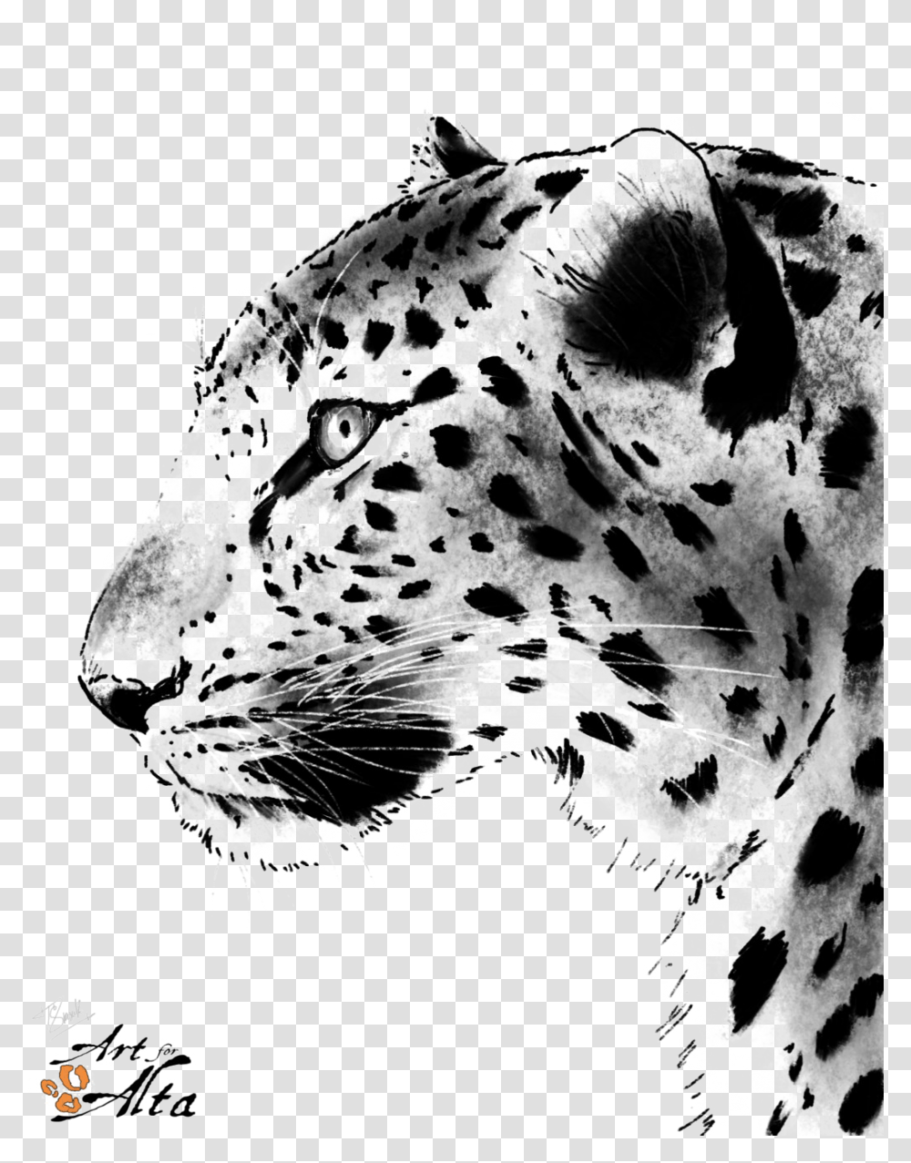 Download Leopard Face Picture Animals Painting Black Amur Leopard Clipart Black And White, Panther, Wildlife, Mammal, Jaguar Transparent Png