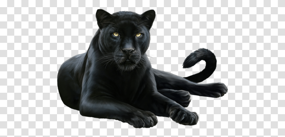 Download Leopard Felidae Black Cougar Panther Free Black Panther Animal, Wildlife, Mammal, Jaguar, Tiger Transparent Png