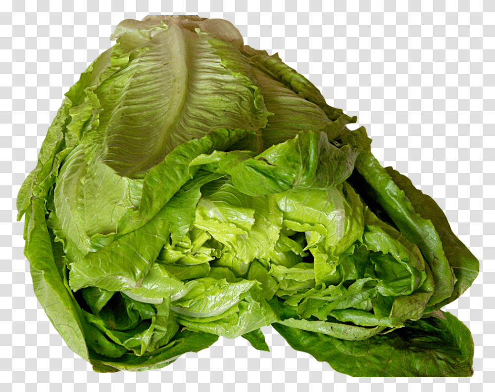 Download Lettuce Image Romaine Lettuce, Plant, Vegetable, Food, Pineapple Transparent Png